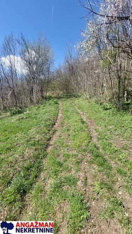 Krivi Vir | 4zida.rs