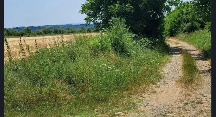 Poljoprivredno zemljište | 4zida