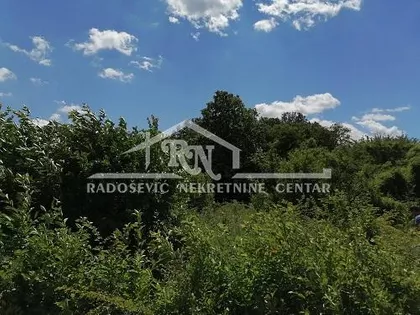 Alekse Žujovića | 4zida.rs