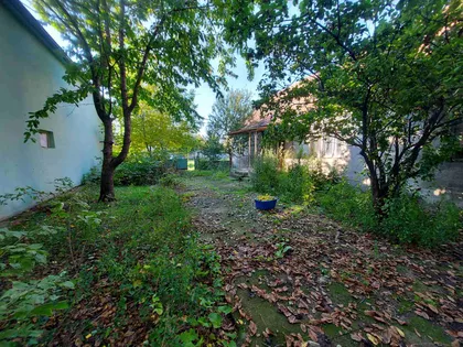 Botoš | 4zida.rs