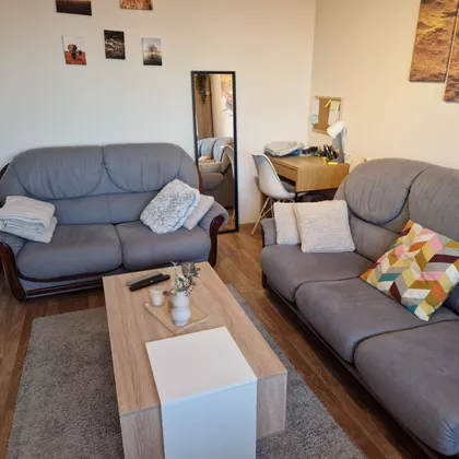 Janka Veselinovića | 4zida.rs