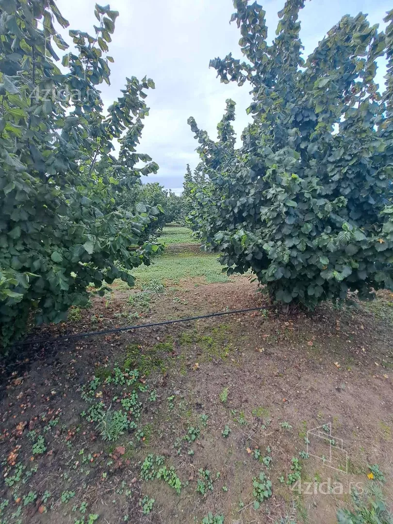 Poljoprivredno zemljište | 4zida