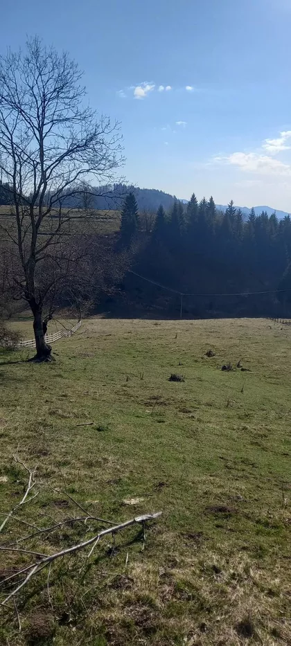 Zaovine | 4zida.rs