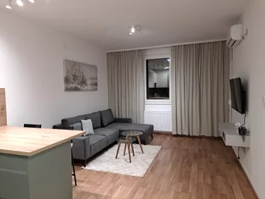 Laze Lazarevića