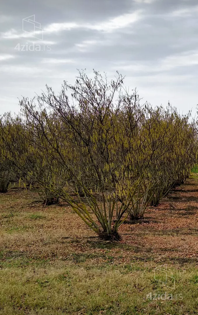 Poljoprivredno zemljište | 4zida