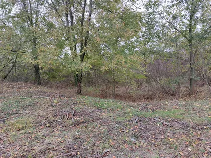 Beogradski Put | 4zida.rs