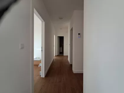 Blagoja Parovića | 4zida.rs