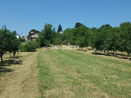 Čortanovci | 4zida.rs