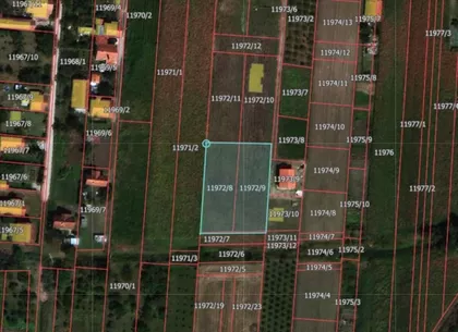 Misa Vinogradi | 4zida.rs