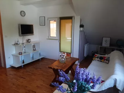 Sretena Mladenovića-Mike | 4zida.rs