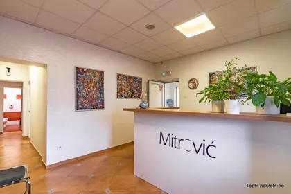 Cara Dušana | 4zida.rs