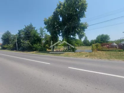 Vučak | 4zida.rs