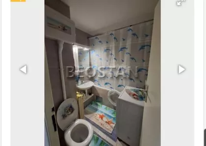 Dr Ivana Ribara | 4zida.rs