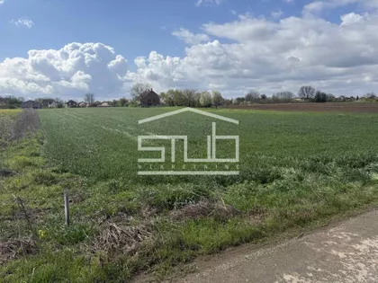 Dobanovci | 4zida.rs