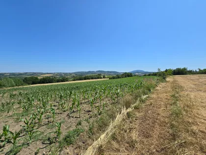 Misača | 4zida.rs