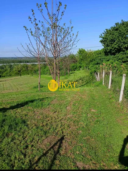 Čortanovci | 4zida.rs