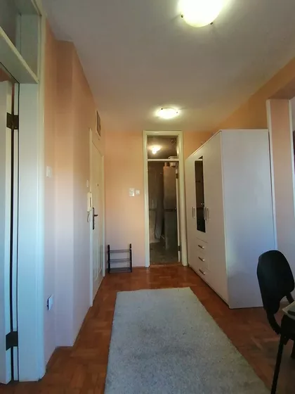 Socijalno | 4zida.rs