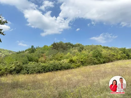 Vrdnik | 4zida.rs