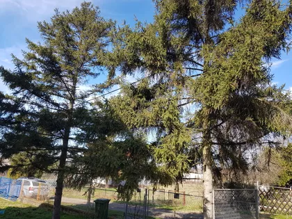 Dragomira Stanisavljevića | 4zida.rs