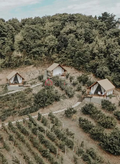 Fruška Gora | 4zida.rs