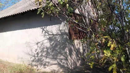 Miloševo | 4zida.rs