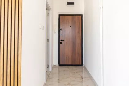 Petra Martinovića | 4zida.rs