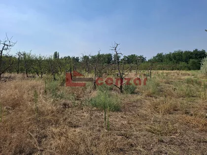 Srpski Šor | 4zida.rs
