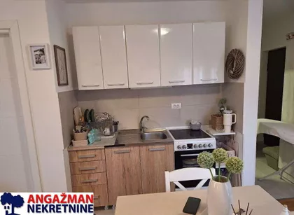 Kučajska | 4zida.rs