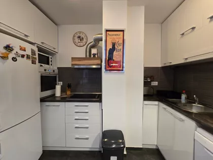 Stepa Stepanović | 4zida.rs