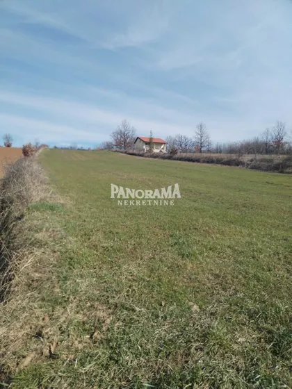 Timočki put | 4zida.rs