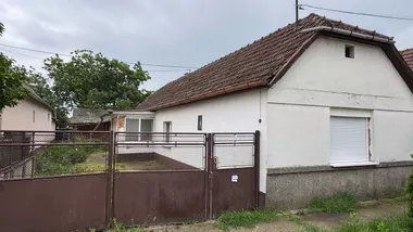 Mužlja