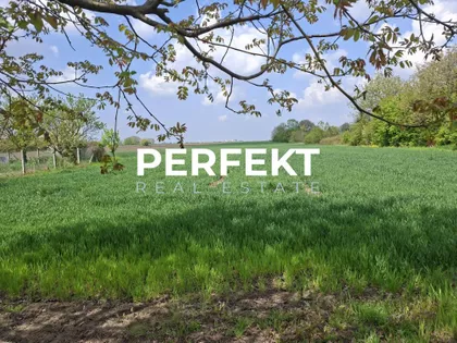 Novoseljanski put | 4zida.rs