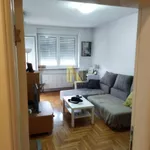 Novi Sad, Gradske lokacije, Rotkvarija, Socijalno | 4zida.rs | 4zida.rs