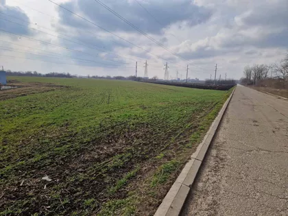 Zeleno Polje | 4zida.rs