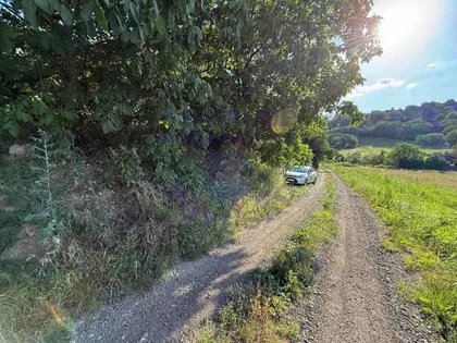 Zanoš | 4zida.rs