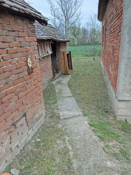 Kajmakčalanska | 4zida.rs