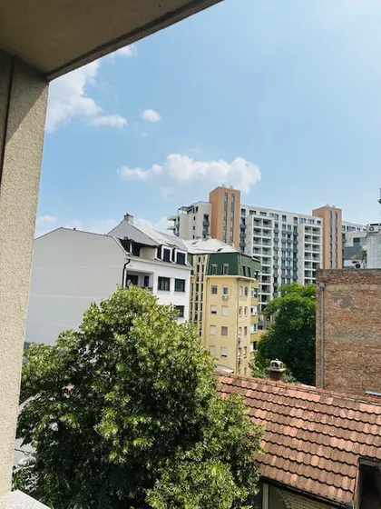 Svetozara Miletica | 4zida.rs
