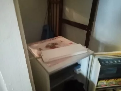 Svetozara Ćorovića | 4zida.rs