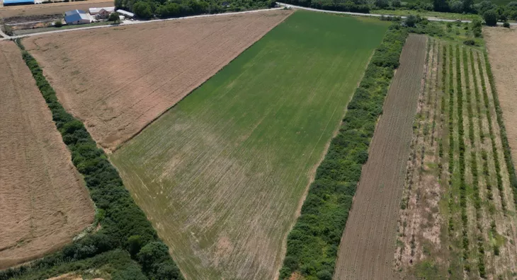 Poljoprivredno zemljište | 4zida