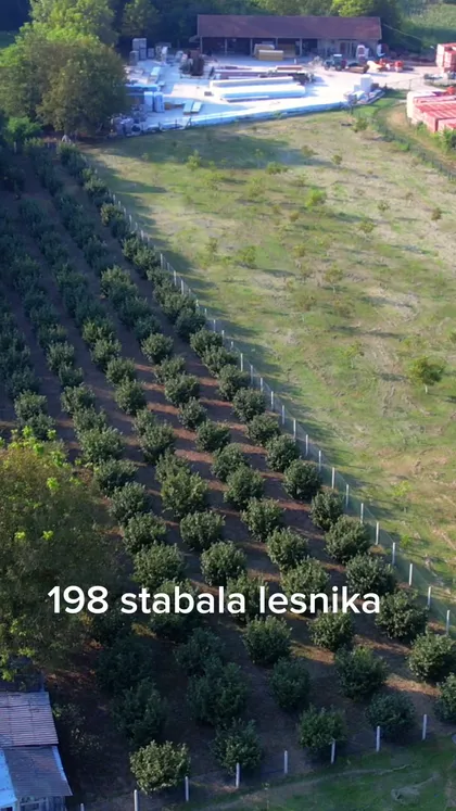 Kraljevića Marka | 4zida.rs