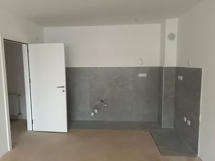 Cara Dušana | 4zida.rs