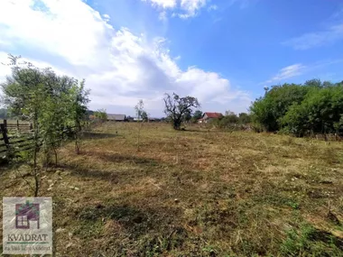 Trlić