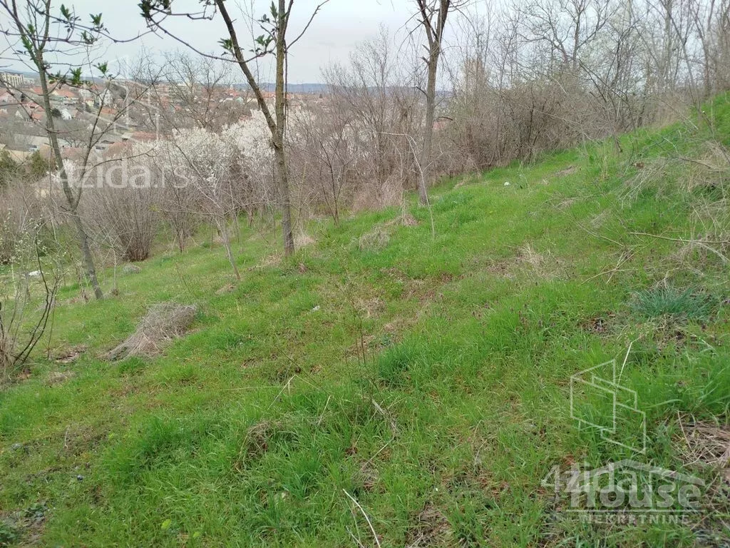 Plac | 4zida