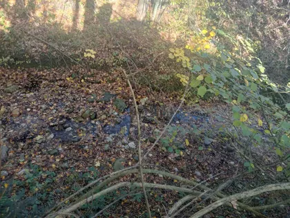 Živkovci | 4zida.rs