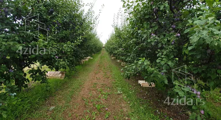 Poljoprivredno zemljište | 4zida