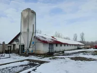 Mošorin, Okolne lokacije, Titel | 4zida.rs