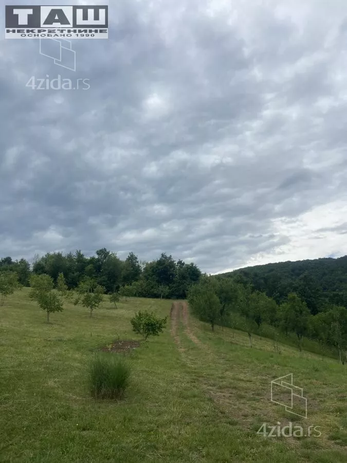Plac | 4zida