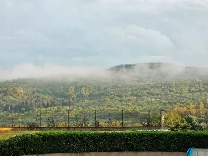 Vase Čarapića | 4zida.rs