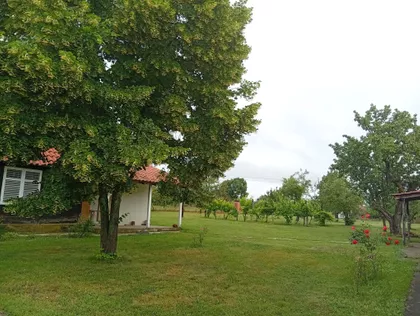 Joviska 12 | 4zida.rs