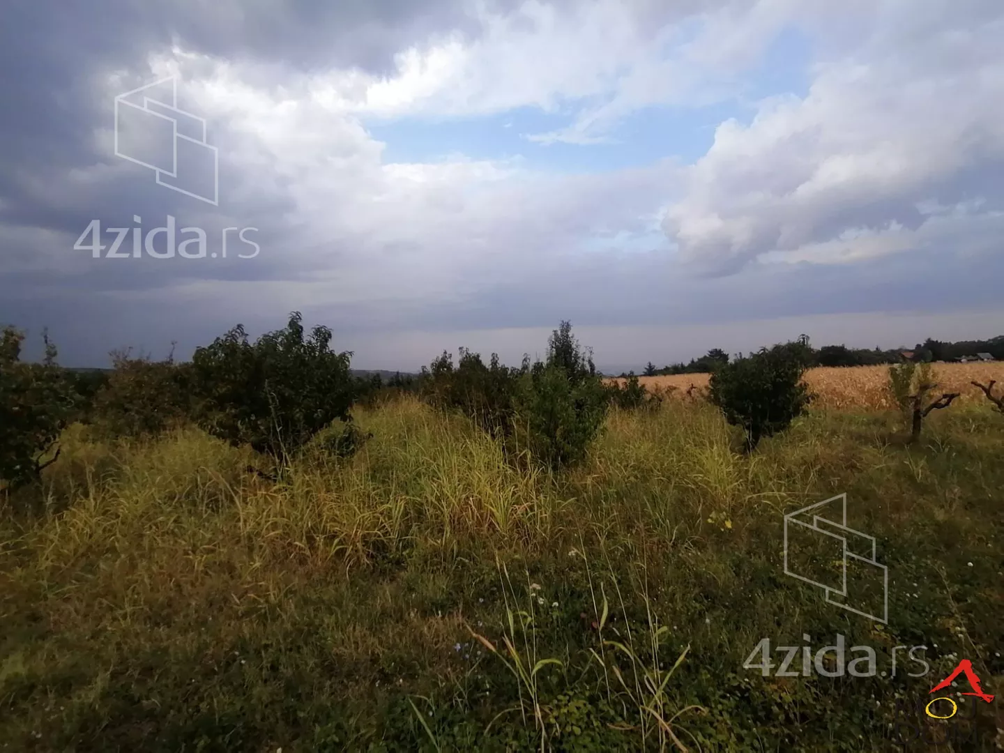 Plac | 4zida